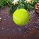 Tennis Star Kalėdinė šventė 2019